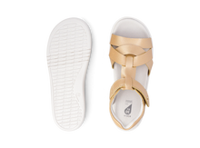 Sandalia barefoot para niña BOBUX Kid+ Cove Oro Pálido, calzado infantil cómodo y ligero con diseño elegante.