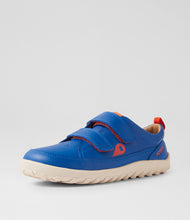 Calzado Barefoot Kid+ Dawn Dazzling Blue para Unisexo